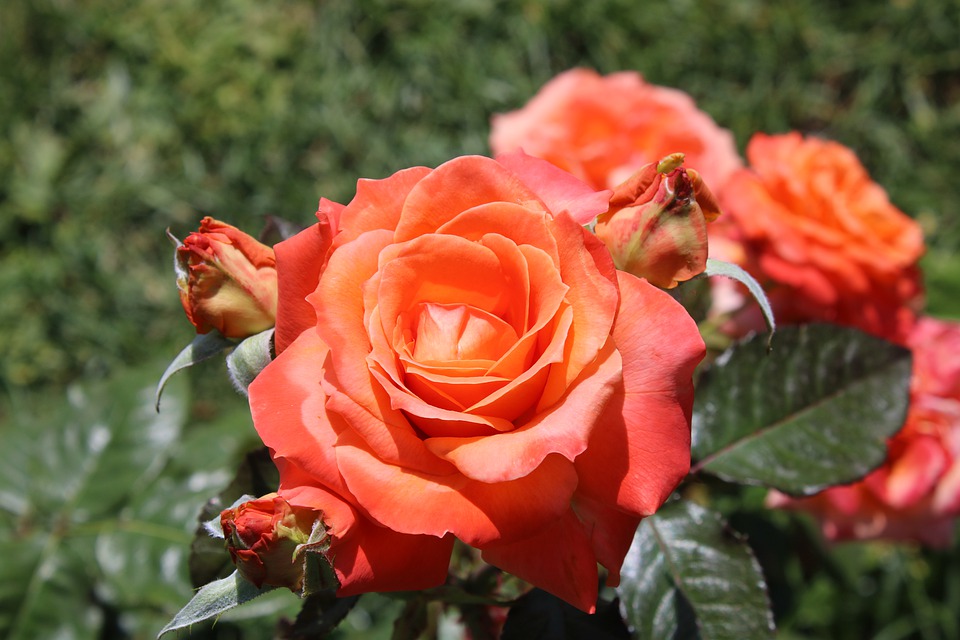 Offerte vacanze maggio 2026 con i bambini